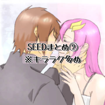 SEEDシリーズ絵まとめ②