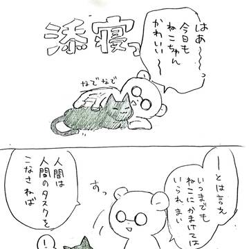 ねこの日記
