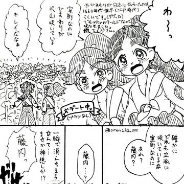 向日葵畑に来た富浦の話