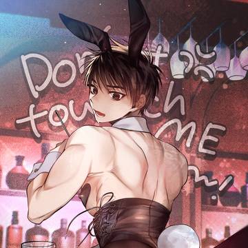 おさわり禁止バニー