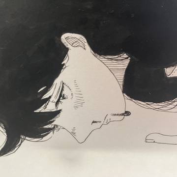 ドローイング