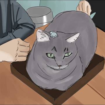 上色练习~