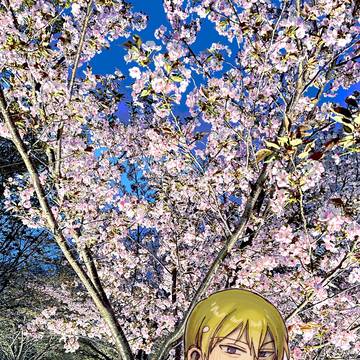 ワヒロまとめ2