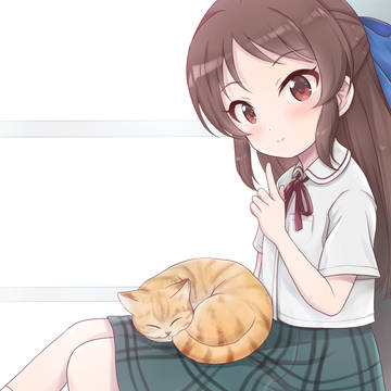 橘さんと猫