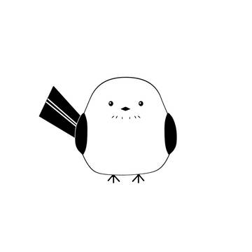 シマエナガ
