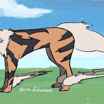 モンゴルのウインディ