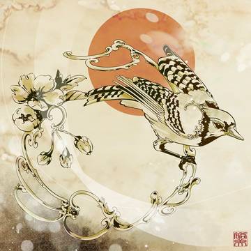 輪鳥