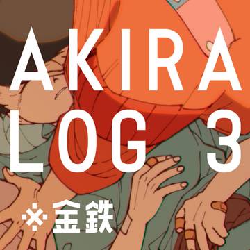 AKR log ③