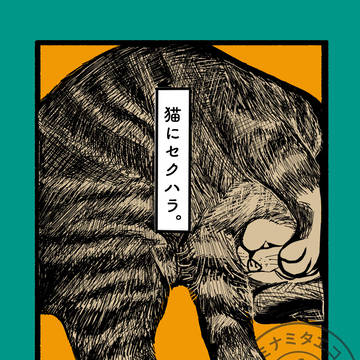 「猫にセクハラ。」