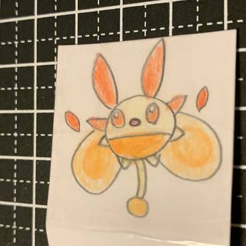 ヒノリカ ホノオリカ