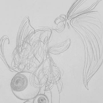 金魚さん