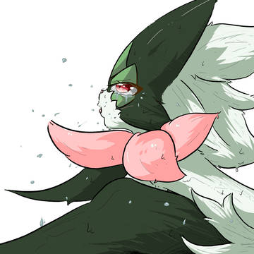 meowscrada crying