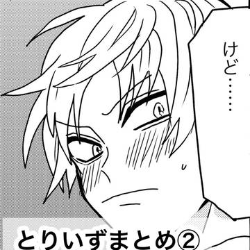 とりいずまとめ②