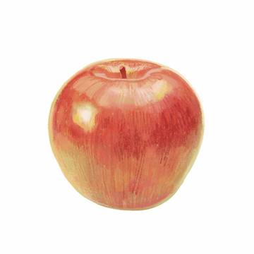 りんごのイラスト