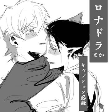ロナドラ（ほぼ再掲）