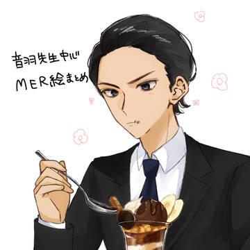 MERまとめ