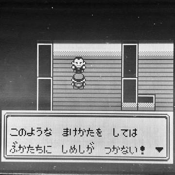 トキワジムのジムリーダー