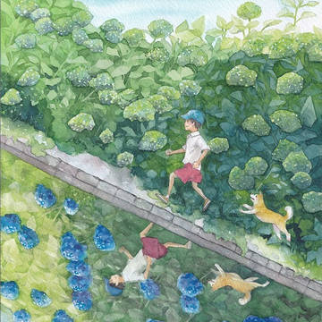 川の記憶