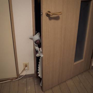 ぼくの猫が神さまになるまで