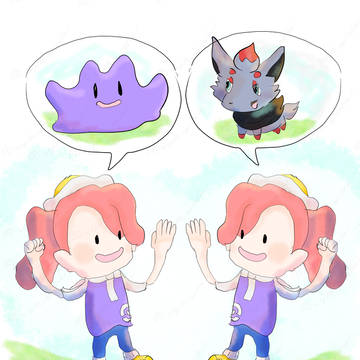 ぽこ あ ポケモン - メタモンとゾロア