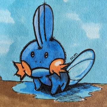Mudkip 💙