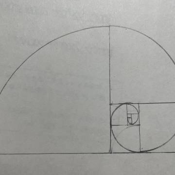 黄金比