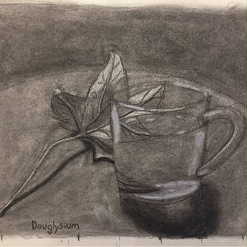 Glass Cup / ガラスカップ / Taza de vid