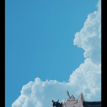 夏空と
