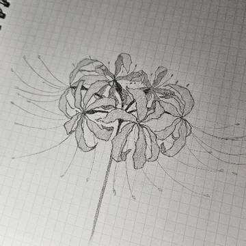 落書き