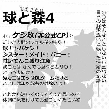 球と森4