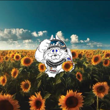 Pretend album cover