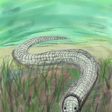蛇 落書き