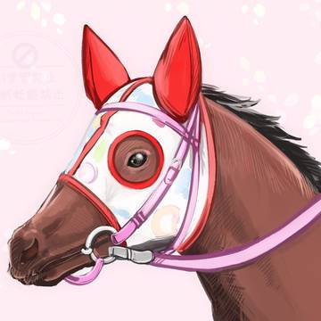 ハルウララ号、たくさんの幸せをありがとう。