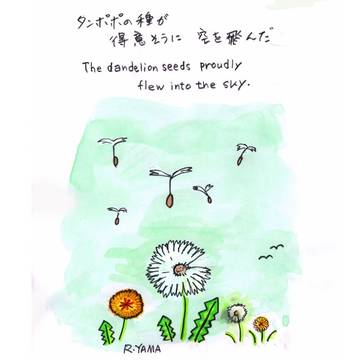 たんぽぽの種　Dandelion seeds