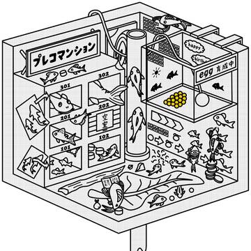 【プレコの部屋2：トーン】