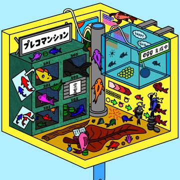 【プレコの部屋2：フルカラー】
