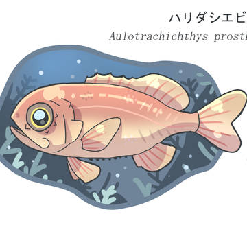 ハリダシエビス