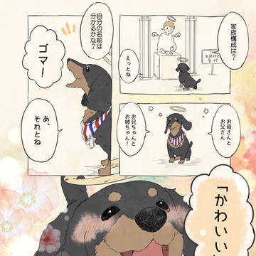 自分の名前を勘違いしている子①