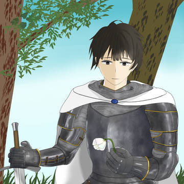 男騎士