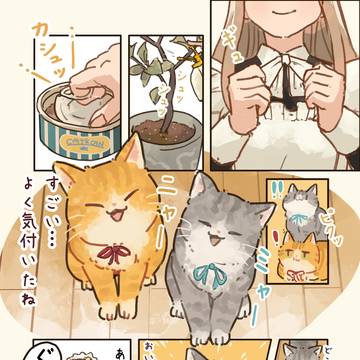 ごはんの音🥫🐈