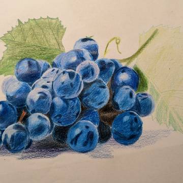 ブドウ🍇