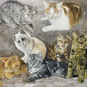 猫の絵