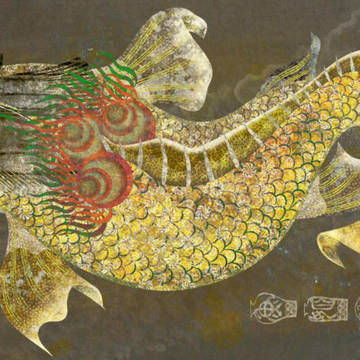 姫魚
