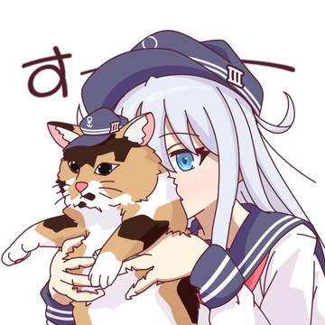 🐱響
