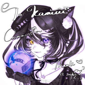 CMS 01