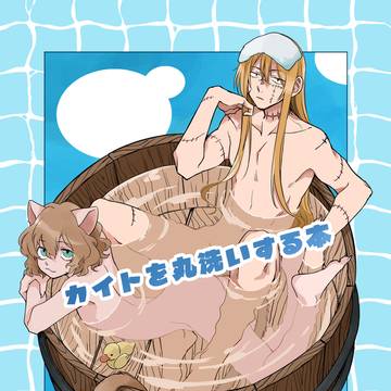 カイトを丸洗いする本