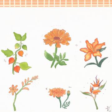 orange flowers