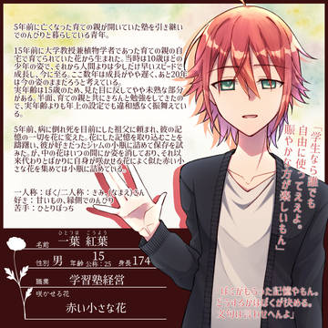 【明笑】一葉 紅葉【花継】