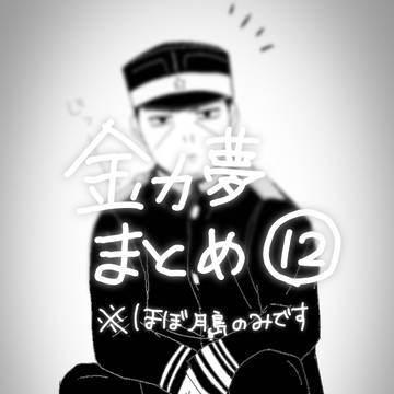 金カ夢まとめ12