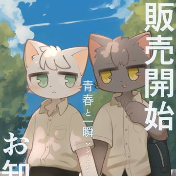 販売開始のお知らせ